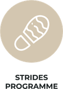 STRIDES Programme